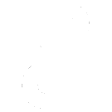 DeepNoir Logo